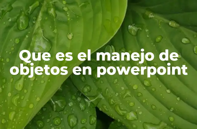 Que es el Manejo de Objetos en Powerpoint