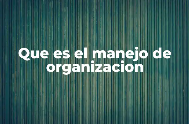 Que es el Manejo de Organizacion 2 La importancia de estructurar y coordinar actividades en un entorno laboral