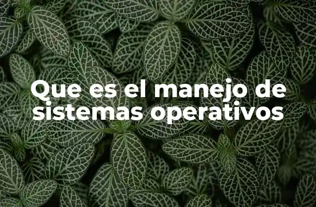 Que es el Manejo de Sistemas Operativos