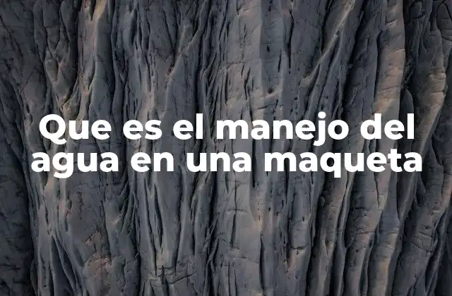 Que es el Manejo Del Agua en una Maqueta