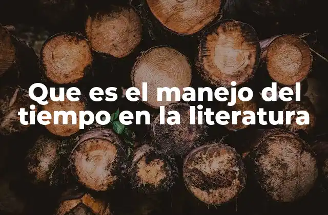 Que es el Manejo Del Tiempo en la Literatura