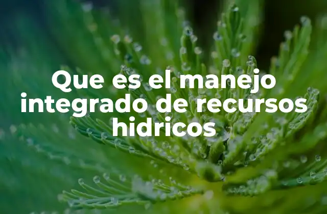 Que es el Manejo Integrado de Recursos Hidricos
