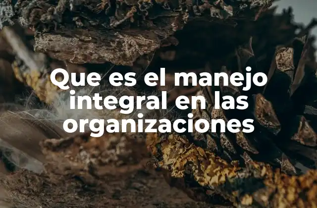 La importancia del enfoque holístico en la gestión empresarial