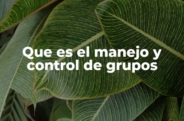 La importancia de las dinámicas grupales en el manejo de equipos