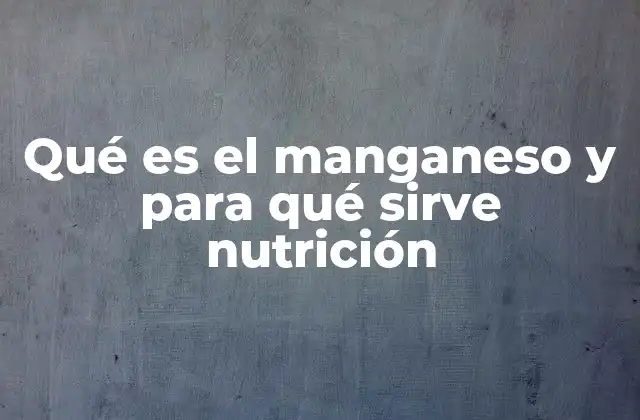 Qué es el Manganeso y para Qué Sirve Nutrición