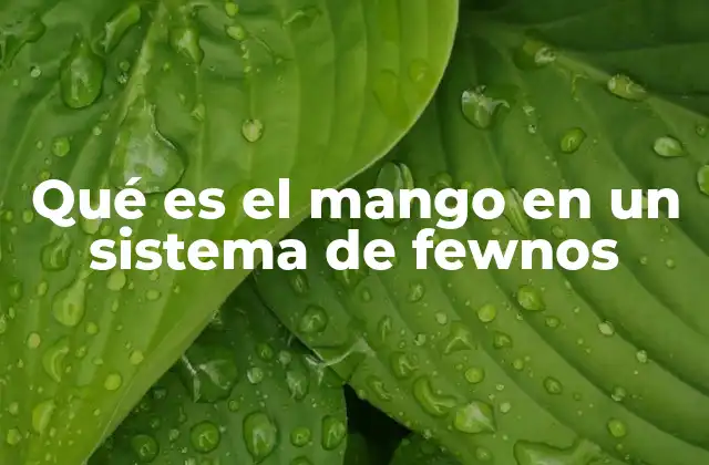 Qué es el Mango en un Sistema de Fewnos