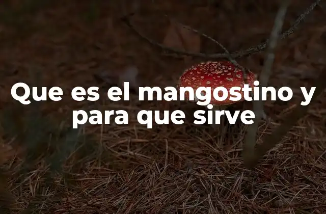 Que es el Mangostino y para que Sirve
