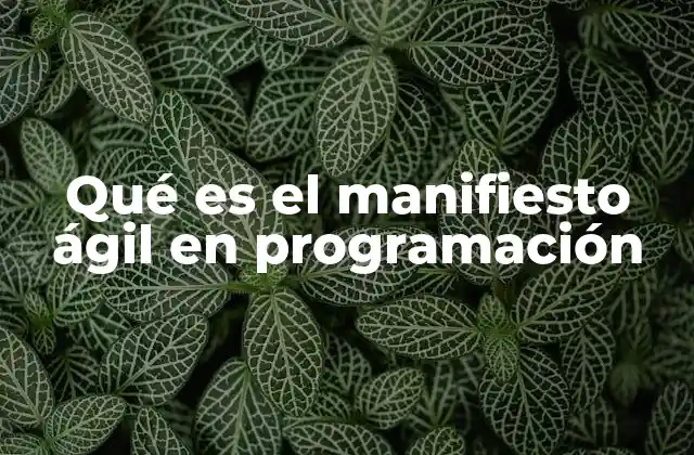 Qué es el Manifiesto Ágil en Programación 2 El origen del manifiesto ágil y su impacto en la industria tecnológica