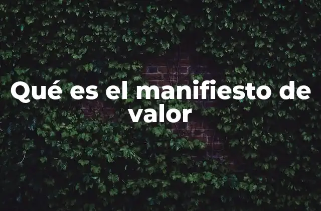 Qué es el Manifiesto de Valor