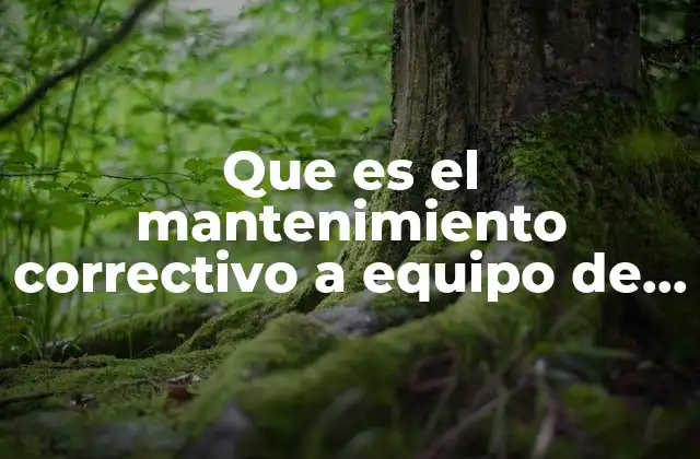 Que es el Mantenimiento Correctivo a Equipo de Computo