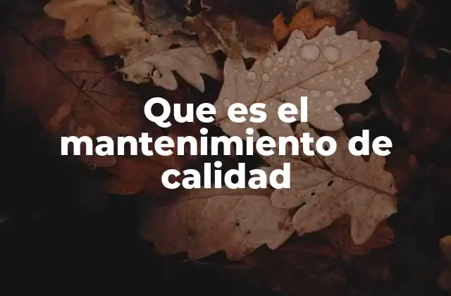 Que es el Mantenimiento de Calidad
