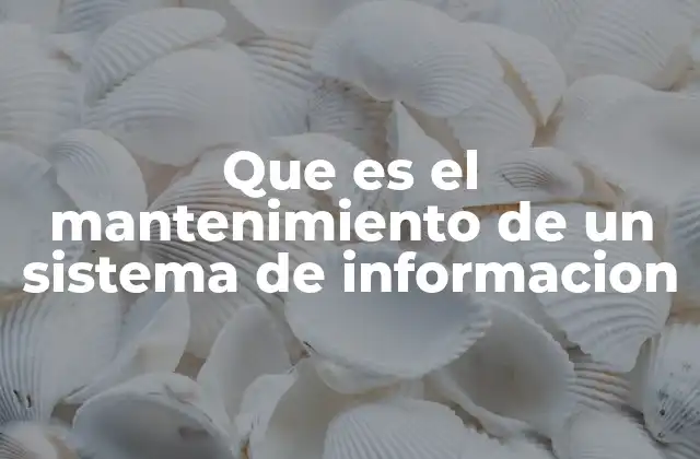 Que es el Mantenimiento de un Sistema de Informacion