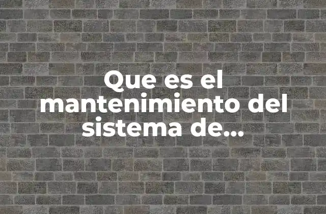 Que es el Mantenimiento Del Sistema de Recuperacion