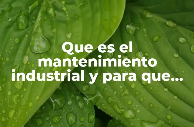 Que es el Mantenimiento Industrial y para que Sirve 2 La importancia del mantenimiento en la operación de industrias