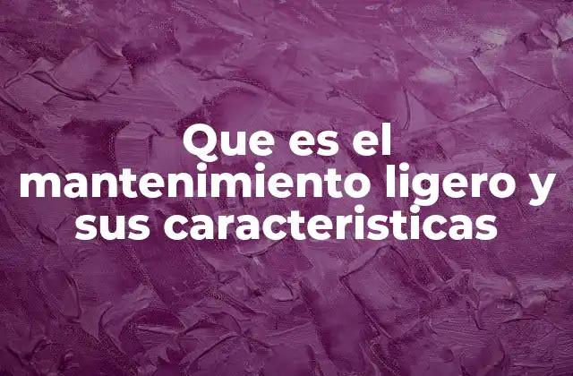 Que es el Mantenimiento Ligero y Sus Caracteristicas