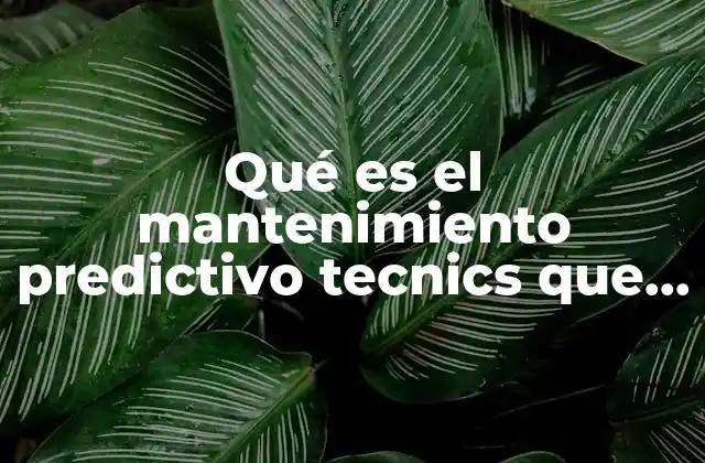 Qué es el Mantenimiento Predictivo Tecnics que Lo Conforman