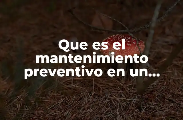 Que es el Mantenimiento Preventivo en un Motor Electrico