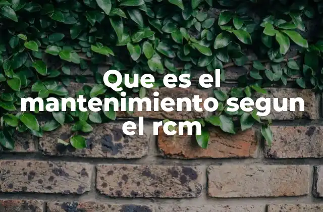 Que es el Mantenimiento Segun el Rcm