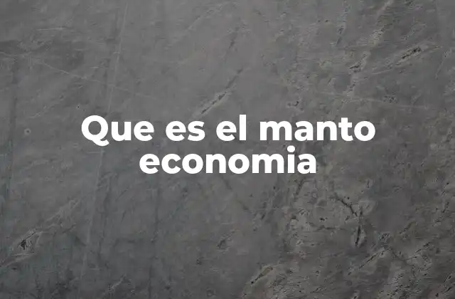 Que es el Manto Economia