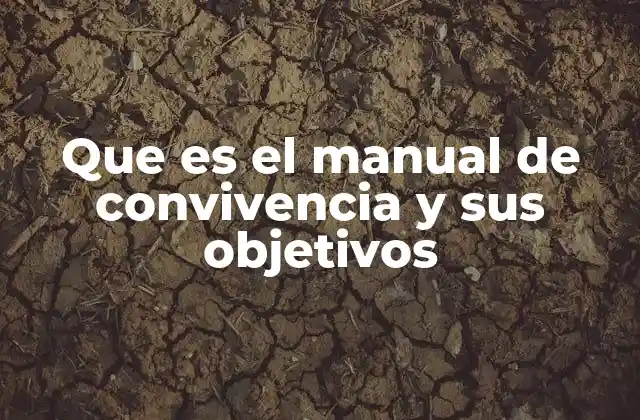 Que es el Manual de Convivencia y Sus Objetivos