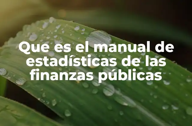 Que es el Manual de Estadísticas de las Finanzas Públicas