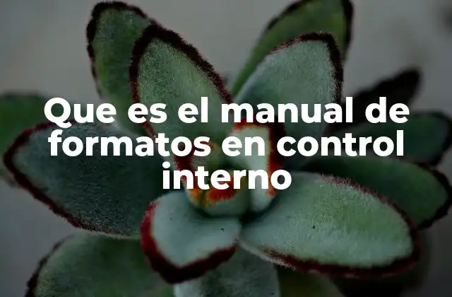 Que es el Manual de Formatos en Control Interno