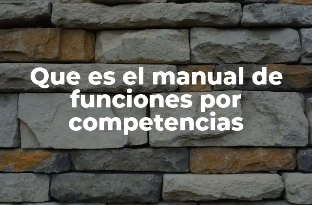 Que es el Manual de Funciones por Competencias