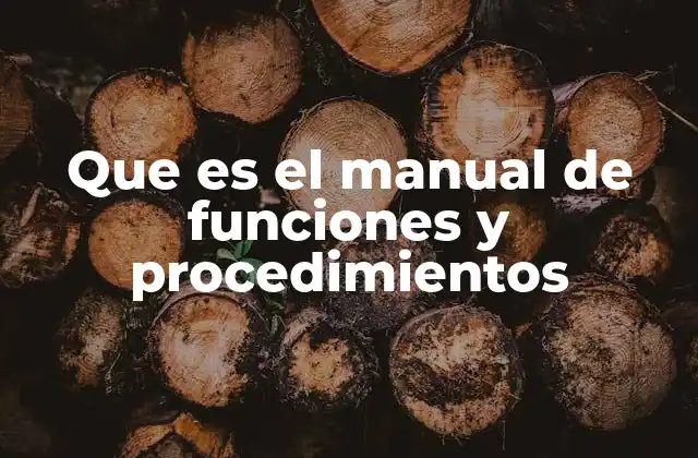 Que es el Manual de Funciones y Procedimientos