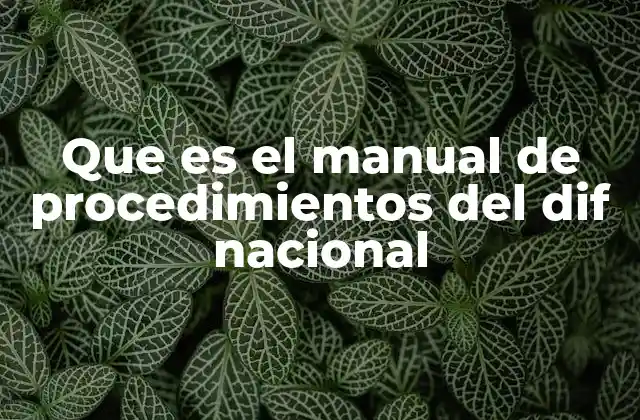 Que es el Manual de Procedimientos Del Dif Nacional