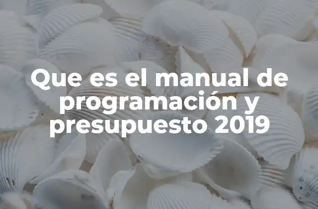Que es el Manual de Programación y Presupuesto 2019 2 La importancia de la planificación en la gestión pública