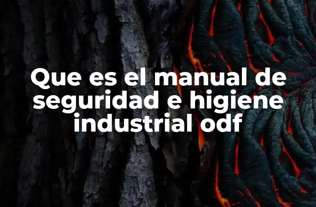Que es el Manual de Seguridad e Higiene Industrial Odf