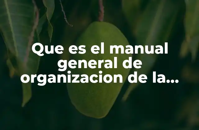 Que es el Manual General de Organizacion de la Ceps