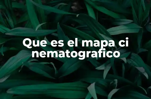 Que es el Mapa Ci Nematografico 2 La importancia del mapa cinematográfico en la historia del cine