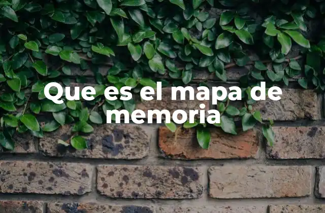 Que es el Mapa de Memoria