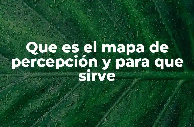 Que es el Mapa de Percepción y para que Sirve 2 Visualizando la percepción del consumidor en el mercado