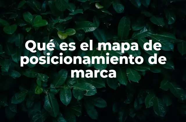 Qué es el Mapa de Posicionamiento de Marca 2 Cómo el mapa de posicionamiento refleja la percepción del consumidor