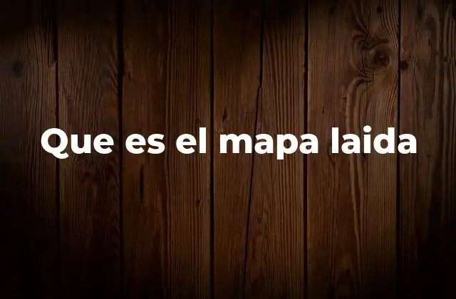 Que es el Mapa Laida