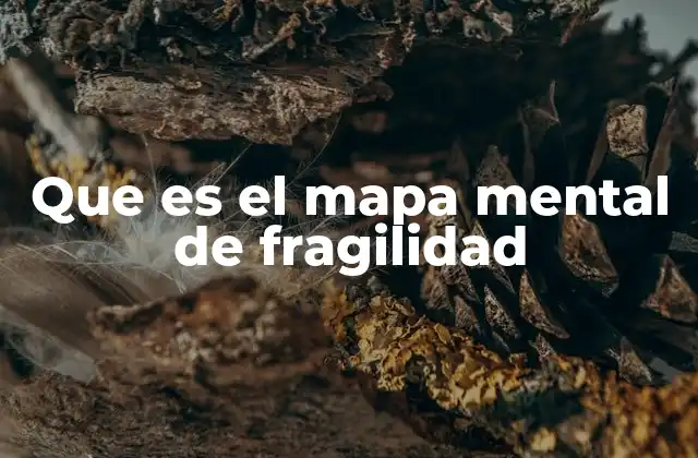 Que es el Mapa Mental de Fragilidad
