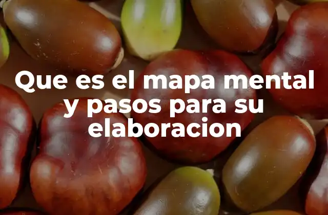 Cómo estructurar una idea central y sus ramificaciones