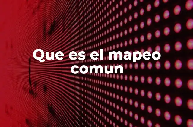 Que es el Mapeo Comun
