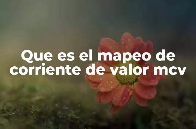 Que es el Mapeo de Corriente de Valor Mcv