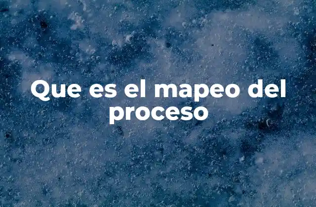 Que es el Mapeo Del Proceso