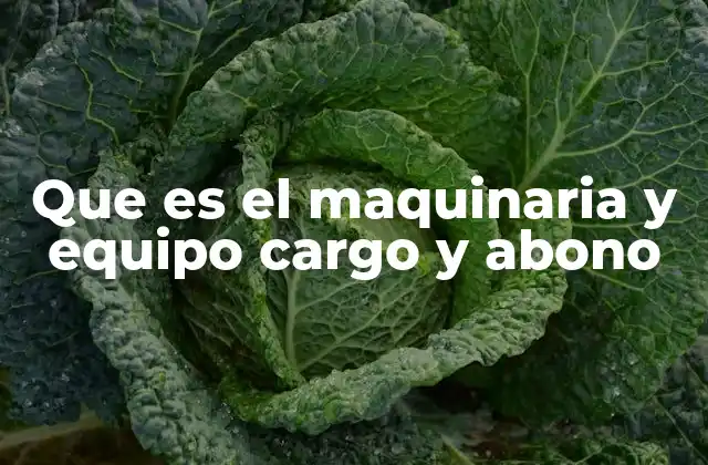 La importancia de registrar maquinaria y equipo en contabilidad