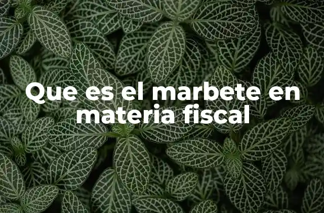 Que es el Marbete en Materia Fiscal