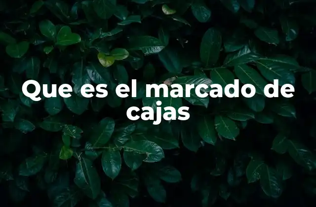 La importancia del identificador visual en la logística