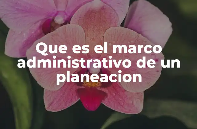 Que es el Marco Administrativo de un Planeacion