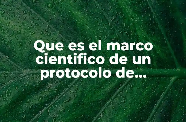 La importancia de la fundamentación teórica en el desarrollo de un estudio