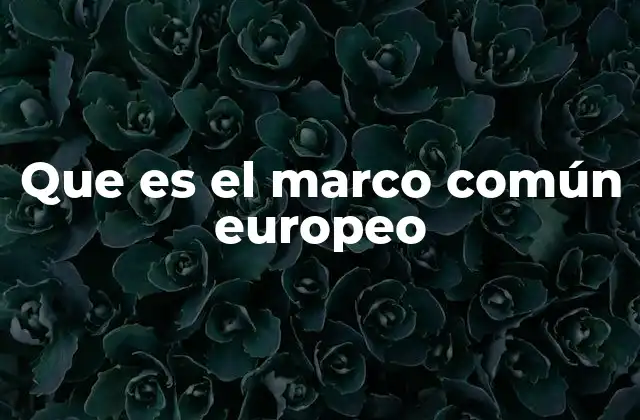 Que es el Marco Común Europeo