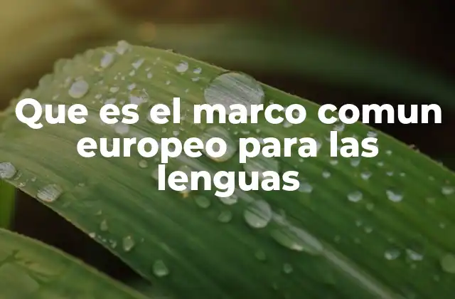 Que es el Marco Comun Europeo para las Lenguas