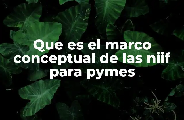 Que es el Marco Conceptual de las Niif para Pymes